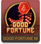 good fortune m